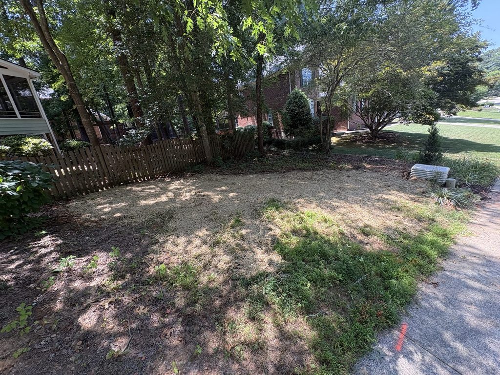 AFTER — trench backfilled and strawed so the grass comes back | Yard backfilled and covered with straw after ARC Plumbing replaced a sewer line in Fuquay-Varina, NC |