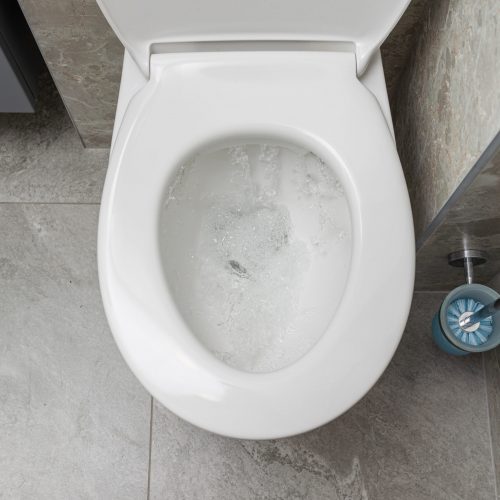 Unclogged Toilet Unclogged toilet
